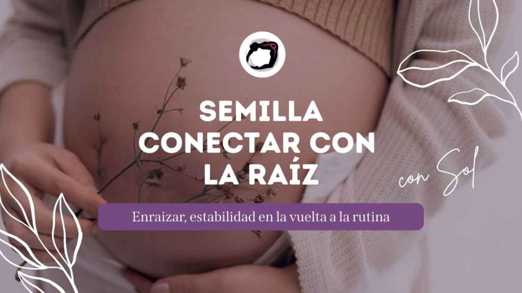 Clase de semilla conectar con la raiz con Sol